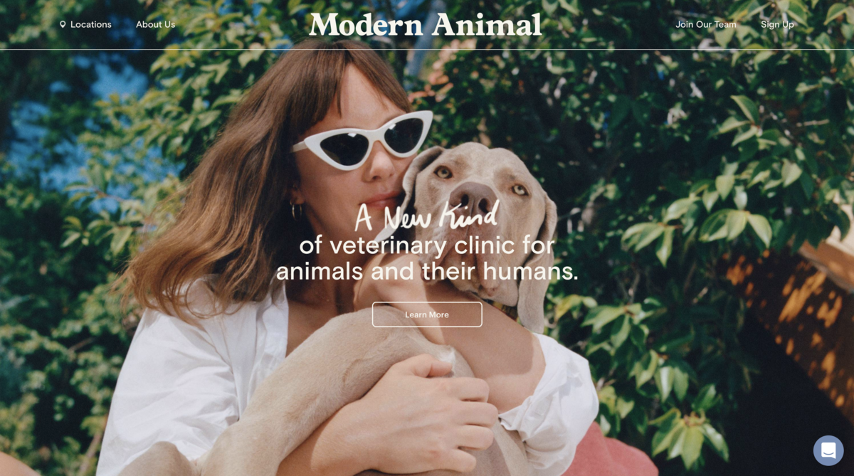 Modern Animal