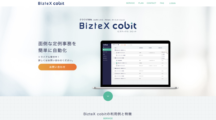 BizteX cobit