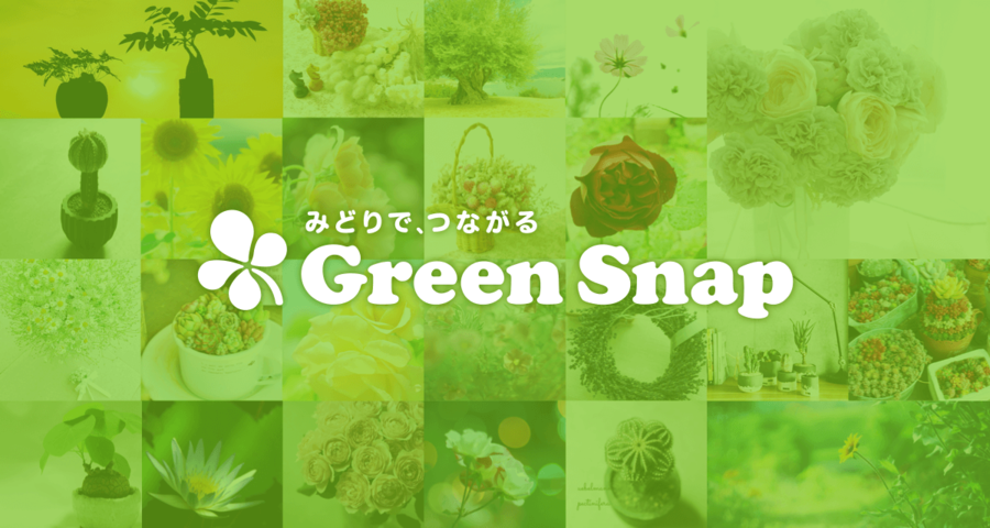 GreenSnap